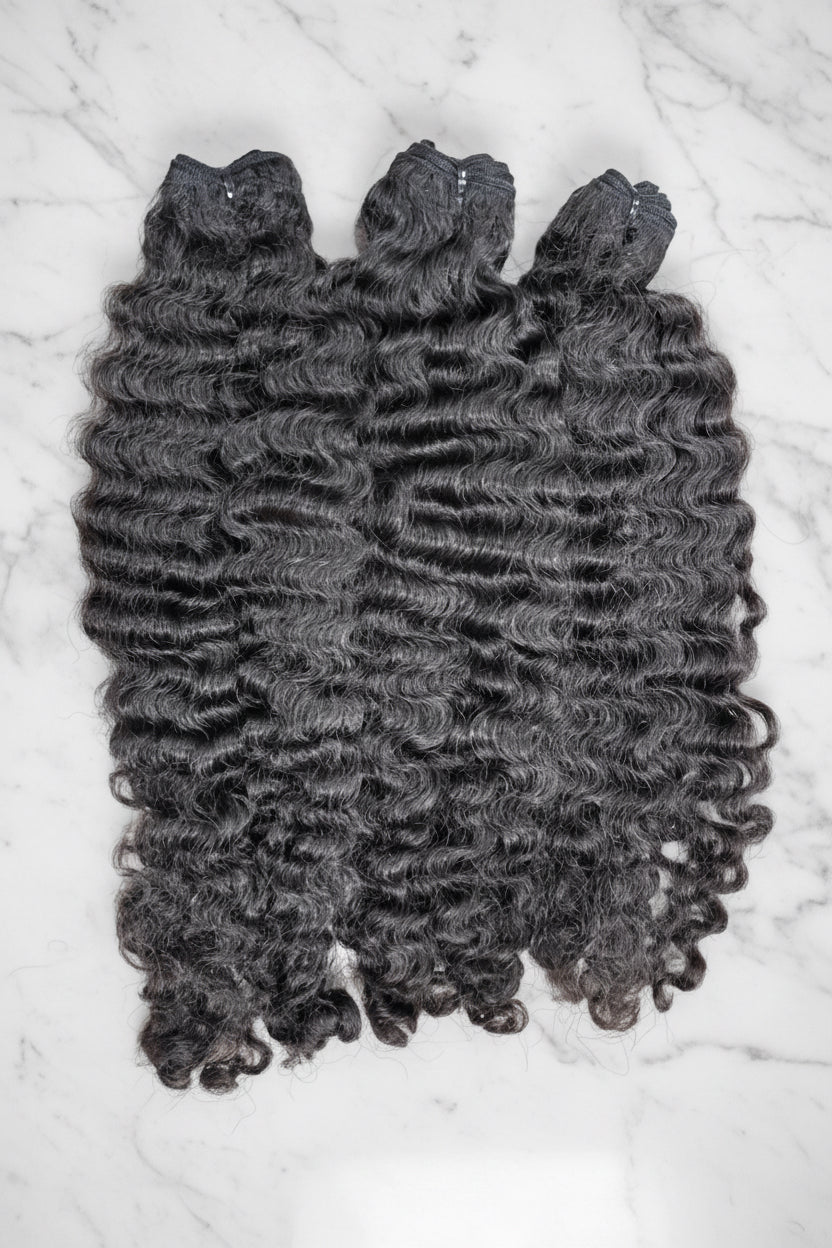 Burmese Curly